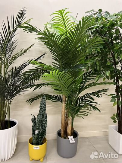 Искусственные растения в ассортименте