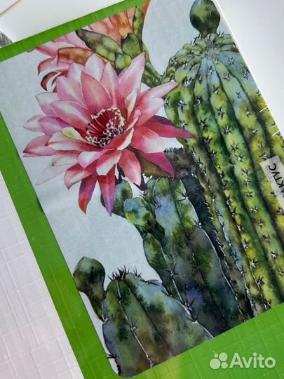 Картина по номерам новая цветущий кактус 20 на 30
