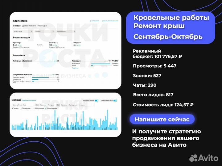 Авитолог с гарантией результата. Магазин под ключ