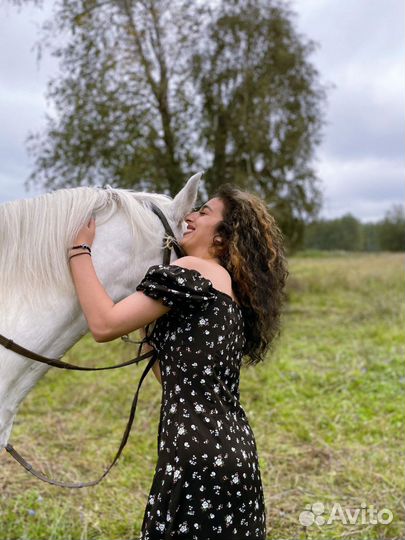 Конные прогулки