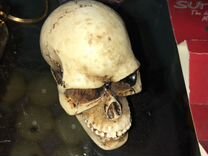 Точилка для кия бильярдного skull