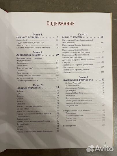 Книга Лидия Мудрагель Мишка Тедди и компания