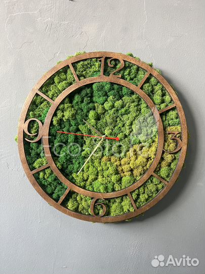 Часы со мхом 40 см Антара