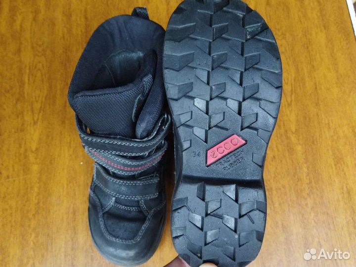 Зимние Ботинки Ecco 34