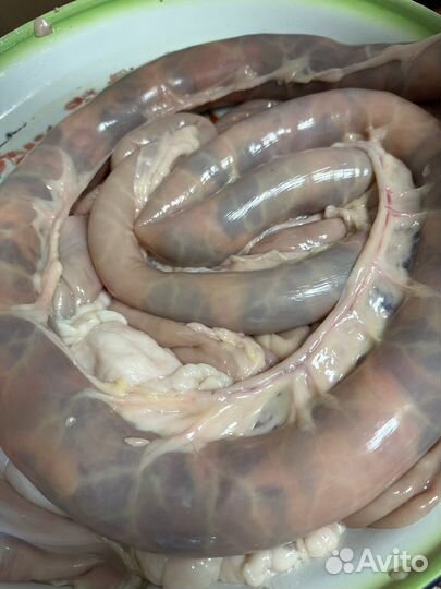 Шужук (колбаса)