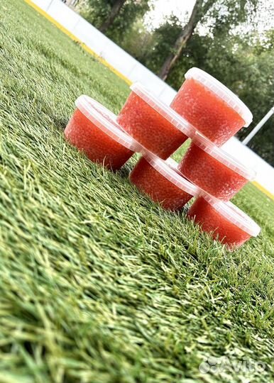 Красная икра горбуши 2023г в наличии