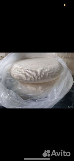 Сыр домашний (вся молочная продукция)