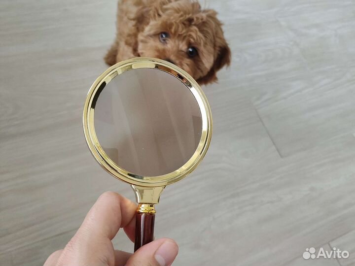 Увеличительная лупа