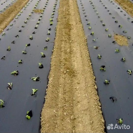 Мульчирующая пленка светлица грунт 60мкм 1,2мх25м