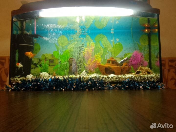 Аквариум с рыбками и украшениями