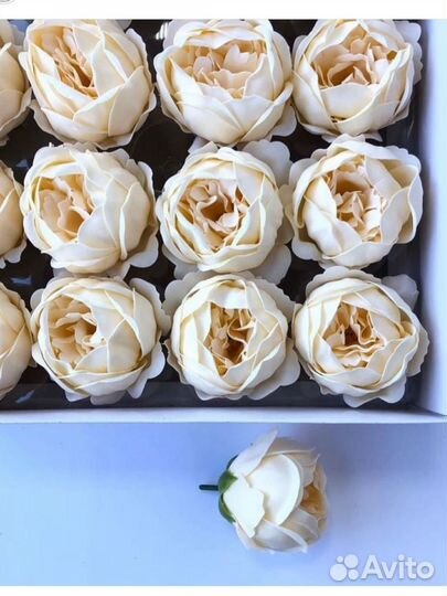 Мыльны цветы пионы