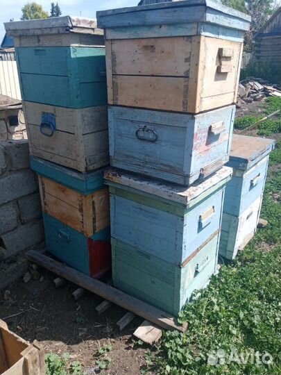 Ульи для пчел бу
