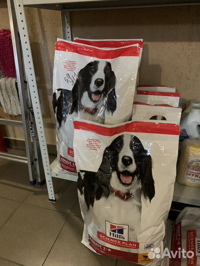 Сухой корм Хилс Hill's Science Plan с курицей