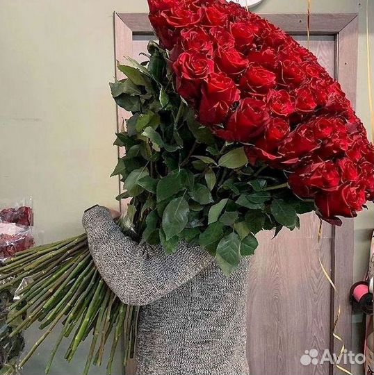 Розы Высокие 150см 160см 170см 180см 190см 2м