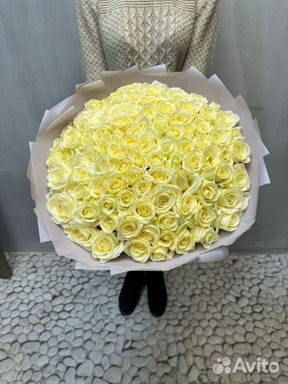 101 роза Букет Цветы