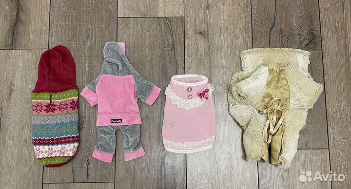 Одежда для собак мелких пород