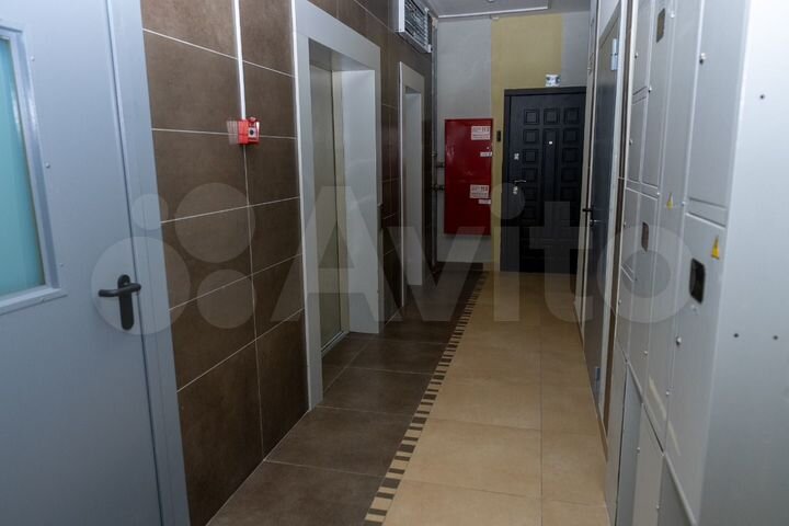 1-к. квартира, 50 м², 11/12 эт.