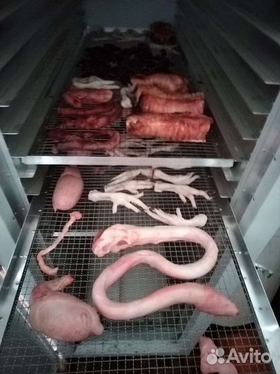 Лакомства для тренировок