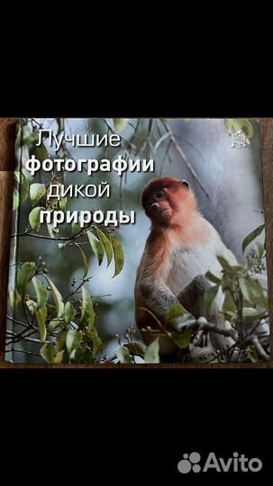Подарочная книга