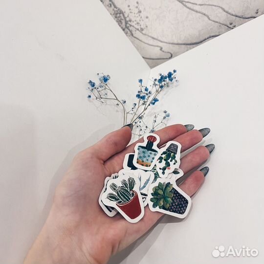 Наклейки растения кактусы