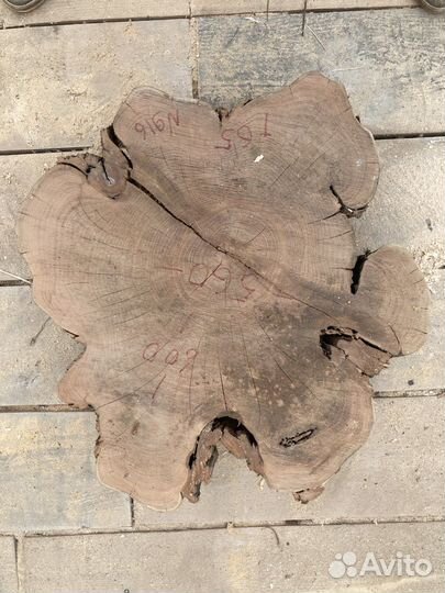 Спил акации лимонной и розовой