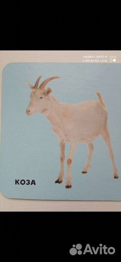 Развивающие игры 