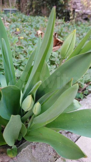 Дача 100 м² на участке 10 сот.