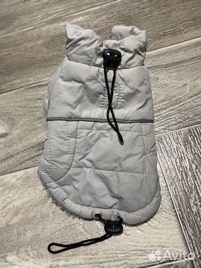 Одежда для мелкой собаки xs