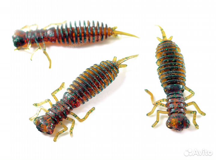 Larva 2.5