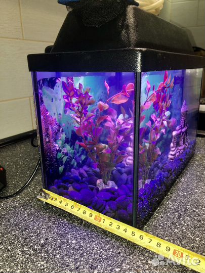 10 литров аквариум полный комплект