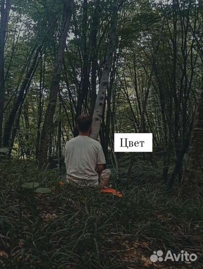 Видео монтажер