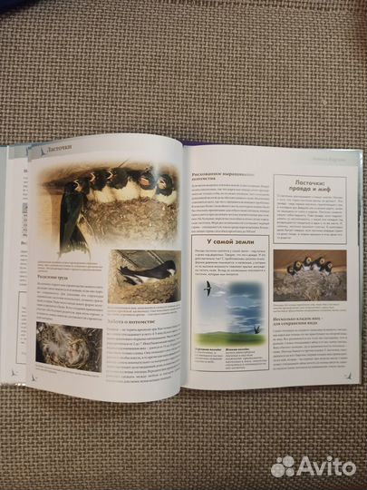 Книги для школьников