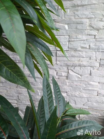 Искусственное дерево манго узколистный, персик