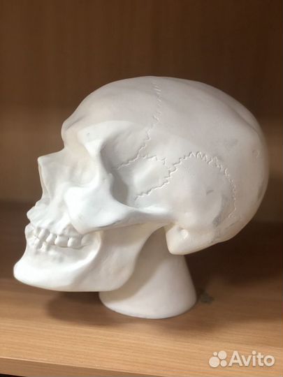 Гипсовые фигуры