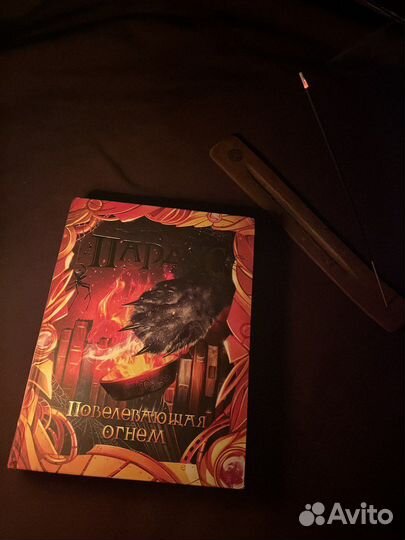 Книга Евгений Гаглоев Пардус Повелевающая огнем