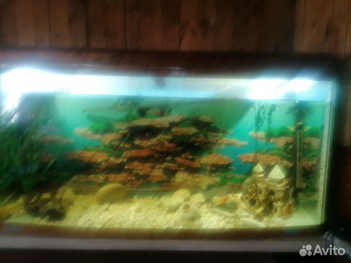 Аквариум