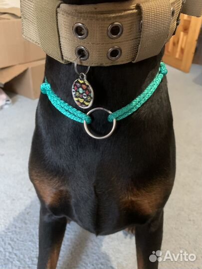 Шнурки для адресника