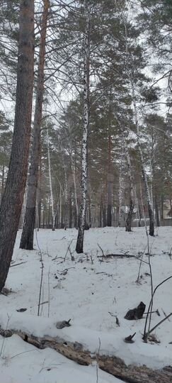 Участок 22 сот. (ИЖС)