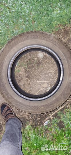 Gislaved Nord Frost 200 195/65 R15