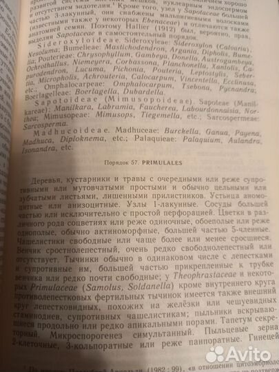 Система магнолиофитов /Армен Тахтаджян, 1987