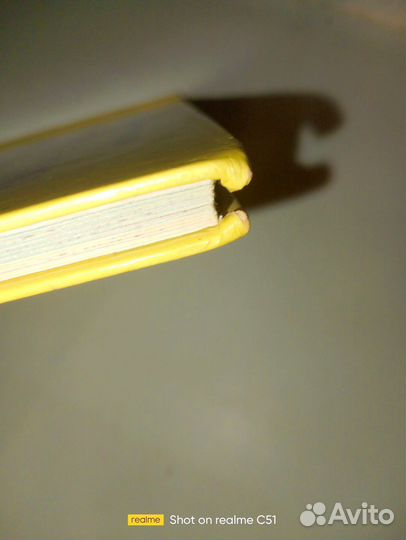 Приключения Кота леопольда книга 2