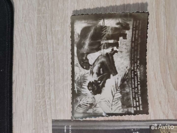 Владимир высоцкий и Маугли