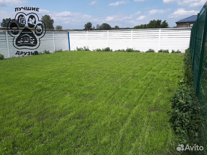 Зоогостиница для животных передержка