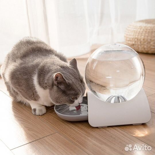 Автопоилка для кошек