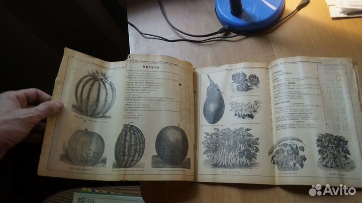 З152 семена каталог. семенная контора акц. общ. с