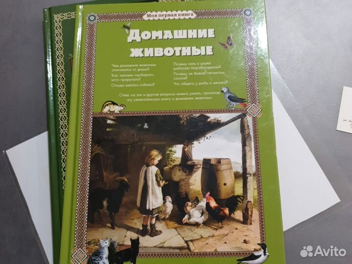 Книга о домашних животных