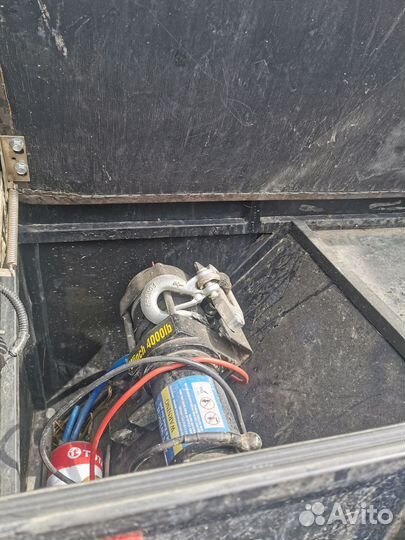 Медведь про