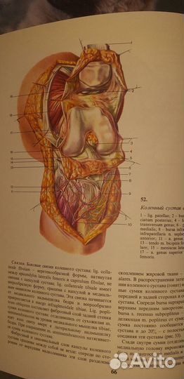 Оперхирургия топографанатомия В.В. Кованов 1978г.в