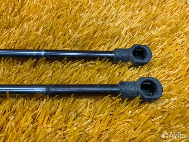 Амортизатор багажника Bmw X5 E53 M54B30 2004