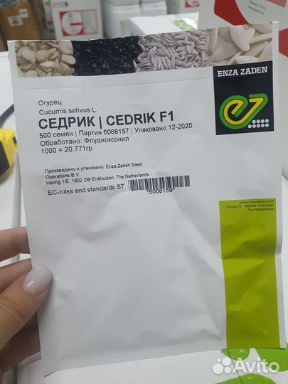 Семена огурец Седрик гибрид 500с Энза Заден